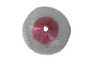 P002 gloeikous 500 CP 2 binding